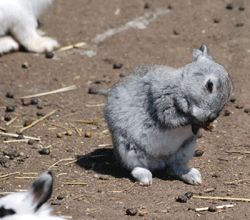 お天気に誘われて