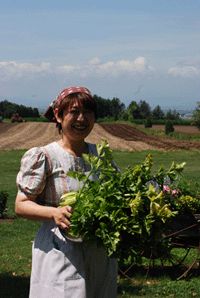 花茶娘