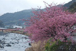 居場所