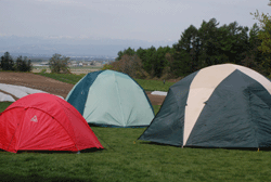 花茶キャンプ