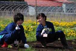 観る、作る、学ぶ