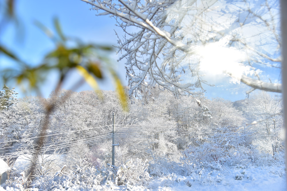 数々の賞を受賞 額付き (白）油絵 雪景色 風景 uF6-060204 絵画