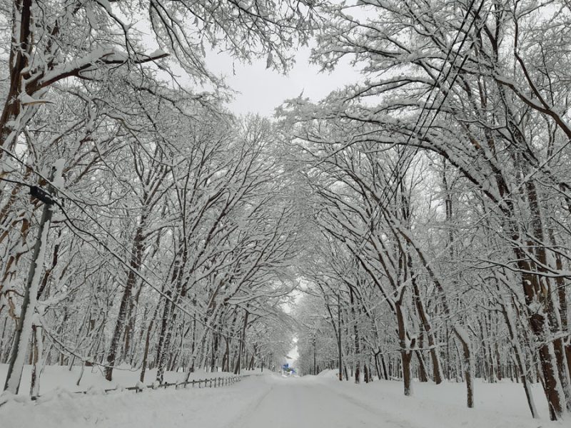 まさかの豪雪