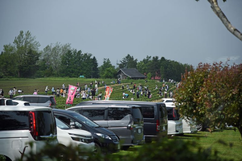 雨の合間を縫うように