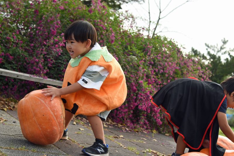 弾ける秋の日