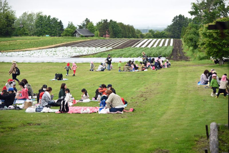 イチゴ狩りが始まると夏の装いに