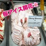 新緑と桜と