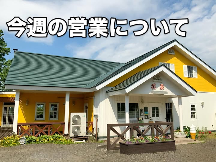 今週(11日~)のお知らせ