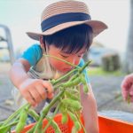 暑くても、美味しい、楽しい花茶です