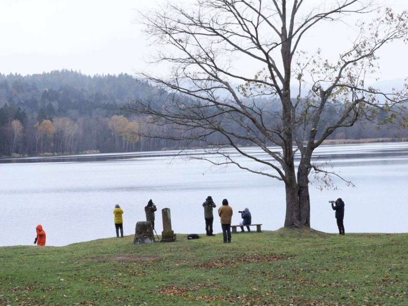 秋探しの撮影ツアー