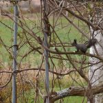 先へと走るひとたち