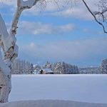 すっかり雪の中