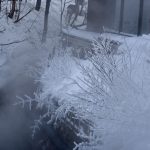 感性くらいは自分で