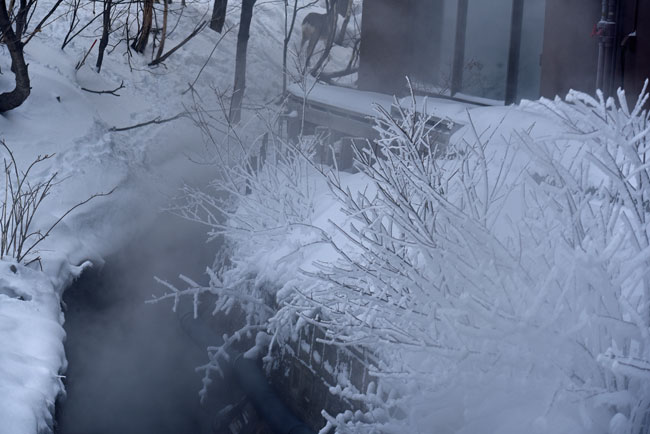 感性くらいは自分で