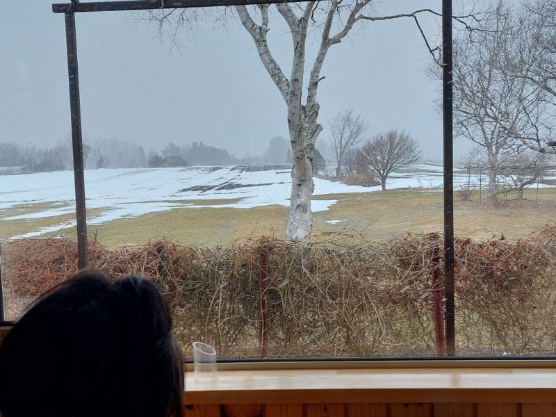 春よ、来い、恋