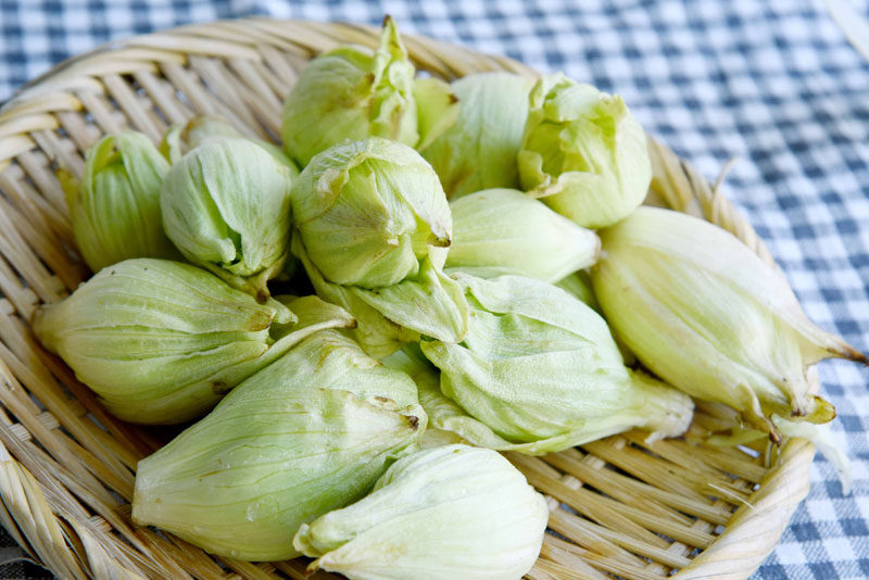 歌いたくなる早春賦